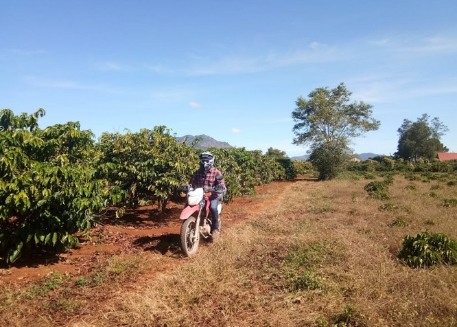 Vietnam Motorbike Tour Ho Chi Minh